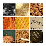 Makro Koláž (ctete Poznamku, prosim)