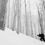 ...to nejsou stromy, to jsou vjeze ;-)