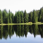 Šumava 2003