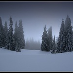 Rozostúpili sa a prišla Jar