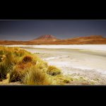 Solná laguna v oblasti Salar - Bolivie
