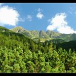 Roháče - Tri kopy***