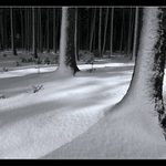 Zima je tu stále***