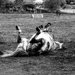 Každodenní zábava :)