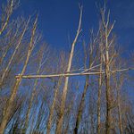 A aj tak budem rásť takto!