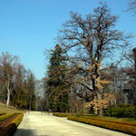 Hluboká
