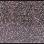 Vesmír ve sklenici vody