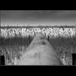 Příroda se nedá!!!