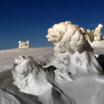 Jeseníky, jak je zima k stromečkům krutá :-)