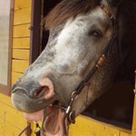 <b>nechci jizdárnu, chci<u> spááááááááááááááát</u></b>