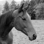 <b>zahleděná...</b>