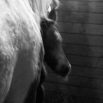 <b>...bezpečí...</b>