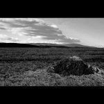 jar, čakám už na teba II