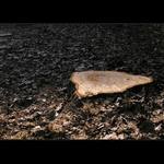 Všetko raz skončí...