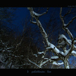 V pohádkovém lese..:-)