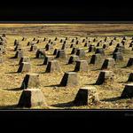 Betonový les (no spíš paseka :-)