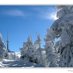Cestičkou k Pradědu