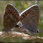 ... a bude nás víc...