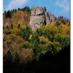 Bralová skala