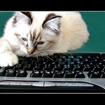 Teď jsem zapomněla - F11 nebo F12 ?