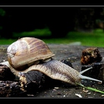 Držím se při zemi