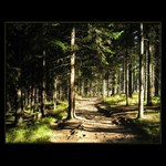 Tatranský chodníček