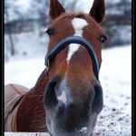 To zabradli je ale dobry....