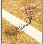 Prvé jarné slniečko