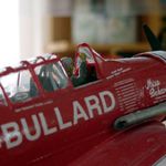 Pilot