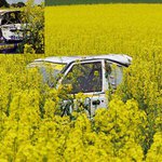 Jak se schovat před diváky?