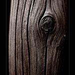 dark side of the wood