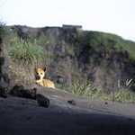 Nerušit, odpočívám