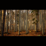 Jarní přitažlivost