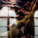 Okna v cizím obraze