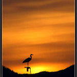 STRAZCE ZAPADU SLUNCE.