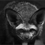 <b>VŠECHNO SLYŠÍM . . . </b><br><b>