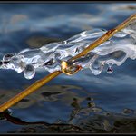 Z ledového království 1