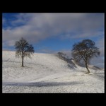 Hetovská rodinka.....