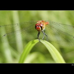 <b>už to bude!! :-))</b>