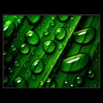 ***o°o°°O°O°o***