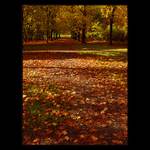 <u>***PODZIM II.***</U><B>