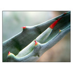 ***OCHRÁNÍM_TĚ***