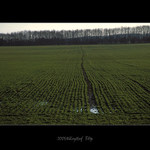 Předjaří v polích u Černotína