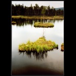 ..Šumavské pohlednice .. Chalupská slať II.