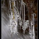 Z království ledu 5