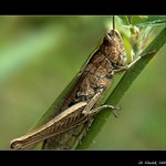 ... se držím a relaxuju