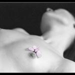 pro toma houdu - milovnika kolorovani