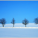 Sedm statečných ...