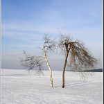 Protiklady se přitahují