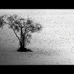 <b>dověčnosti</b> - čtvero ročních dob <b>- zima</b>